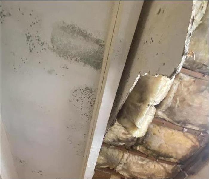 Mold growth on wall and wet condensation